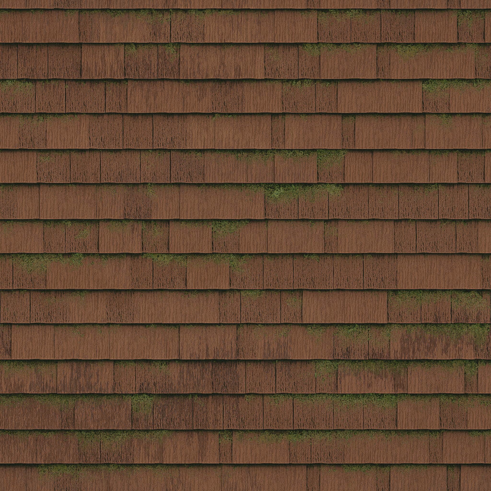 Wooden brown mossy roof tiles